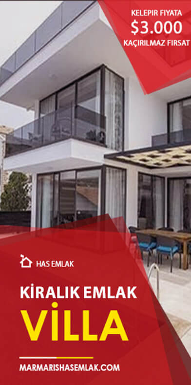 Sosyal Medya Tasarımı